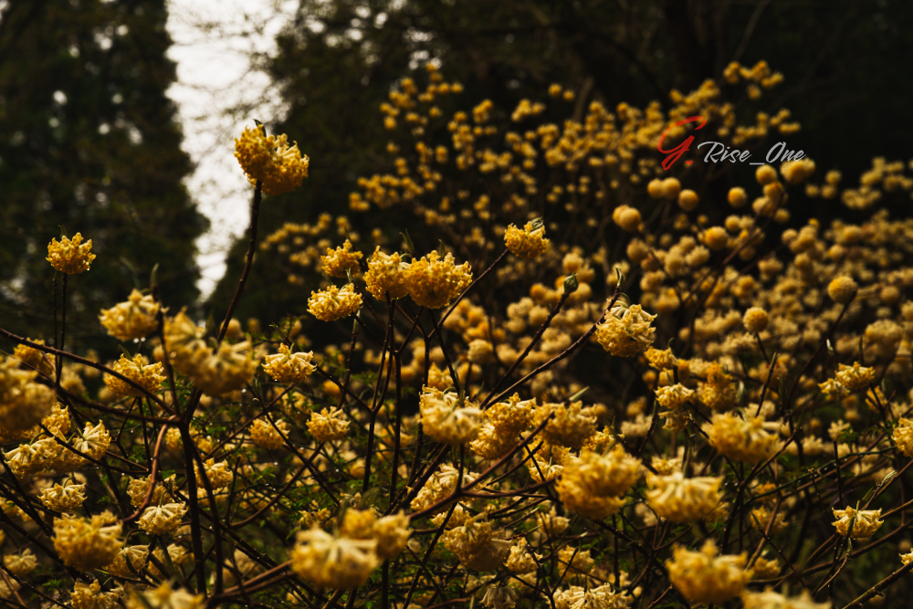 2024.04.01_不動尻