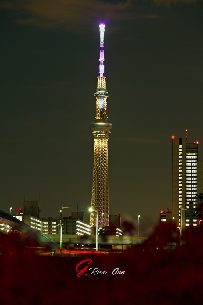 スカイツリー&彼岸花