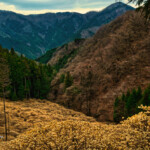 2025.03.31_D90_屋敷山