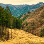 2025.03.31_屋敷山