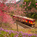 2025.03.31_屋敷山-神戸駅