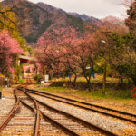 2025.03.31_屋敷山-神戸駅