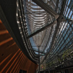 2025.04.09.D_千鳥ヶ淵 東京フォーラム