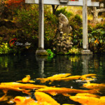 2025.11.13_ 昇仙峡 黄金池
