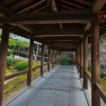 2025-26_京都 東福寺