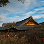 2025-26_京都 東福寺