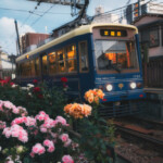 2026.05.07_三ノ輪橋駅 バラ7