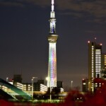 スカイツリー＆彼岸花