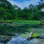奥日光　泉門池(いずみやど）